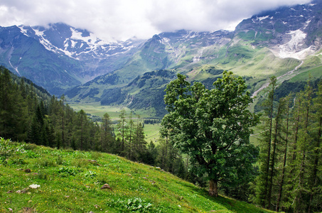 阿尔卑斯山