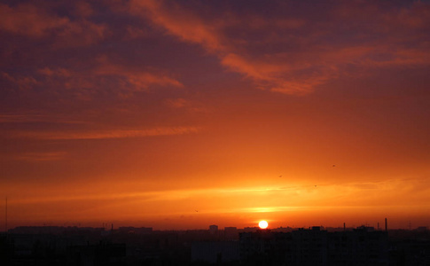 红色日落在城市。日落.夕阳下的红蓝云。日落全景