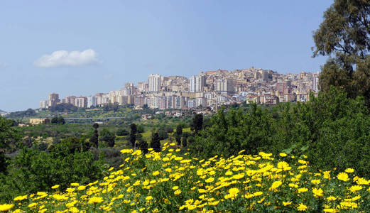 春天在 Temples.Agrigento.Sicily 的山谷里