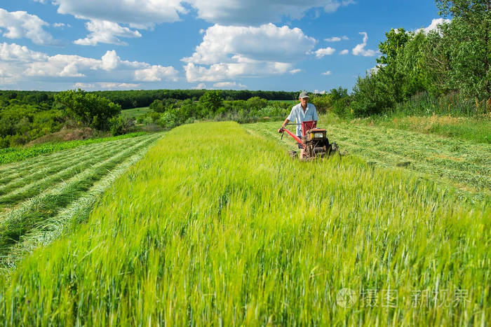 在农业农场工作照片-正版商用图片07nn80-摄图新视界
