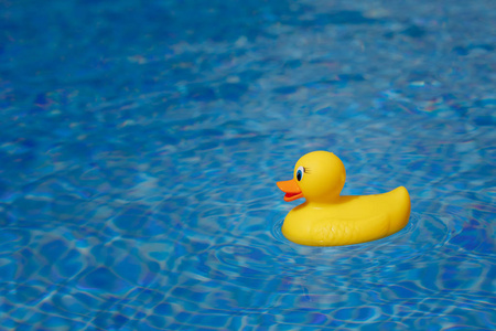 蓝色泳池黄色橡皮鸭