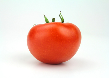 单个番茄图片