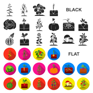 植物, 蔬菜平面图标集合中的设计。花园和收获向量符号股票网页插图