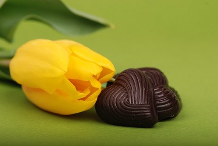 巧克力糖果黄色郁金香