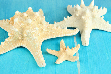 关于蓝色木制表特写白色 starfishes