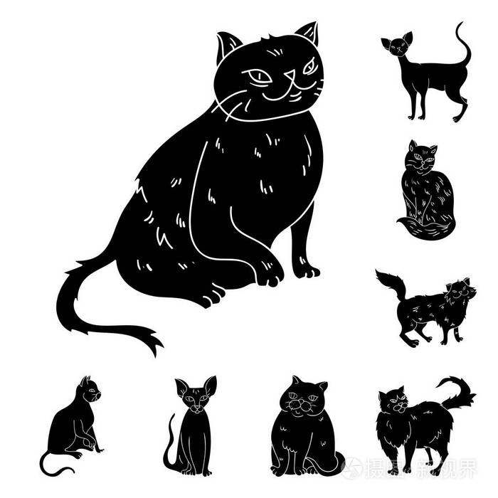 品种的猫黑色的图标集合中的设计。宠物猫矢量符号股票网页插图