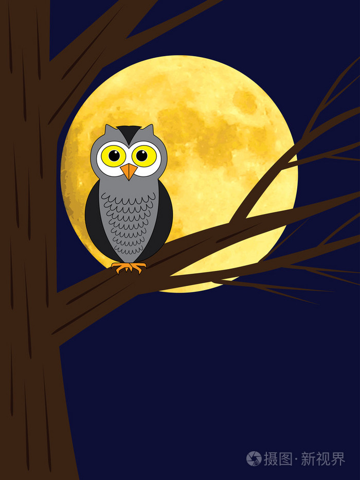 坐在树的分支上的猫头鹰