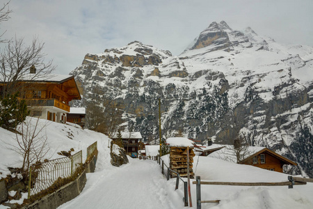 雄伟的少女山顶上的小村 Gimmelwald