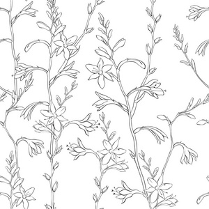 轮廓花卉图案与 montbretia