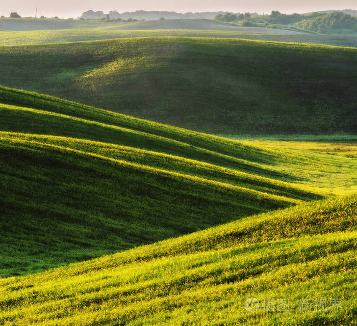 风景如画的丘陵领域.绿色波浪场