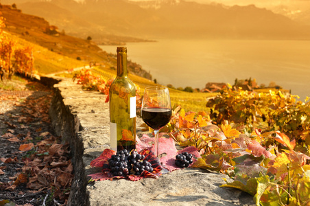 杯红葡萄酒对瑞士熔丝地区露台葡萄园