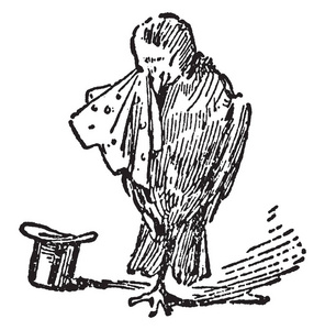 罗宾的死亡和埋葬, 这个场景显示一只鸟擦眼泪与布, 和帽子在地面上