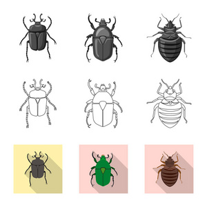 昆虫和苍蝇图标的矢量设计。收集昆虫和元素矢量图标的股票
