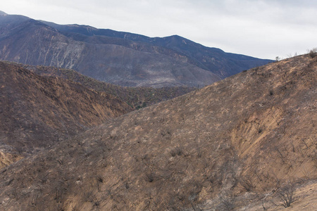 在加利福尼亚州欧康的33号公路上被托马斯大火破坏的景观