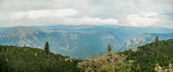 夏季山地和带系统的常绿森林和山峰。杜尔米托尔, 黑山