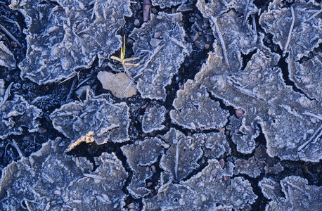 霜降龟裂的土地图片