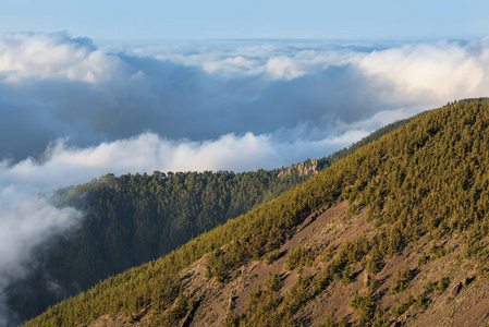 西班牙加那利群岛 Teide 国家公园景观中的云海