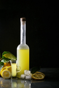 首页制作 Limoncello