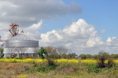 农业筒仓建筑外观 存储和干燥的谷物 小麦 玉米 大豆 向日葵与稻田蓝天的衬托