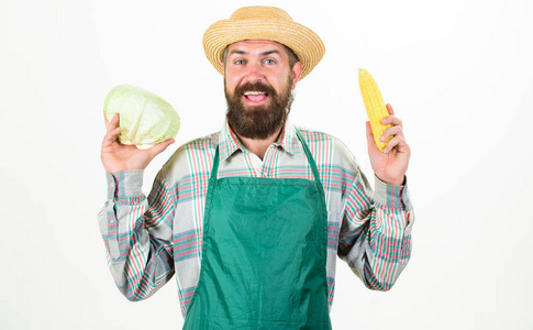 农夫草帽持有玉米芯卷心菜蔬菜.新鲜有机蔬菜收获.