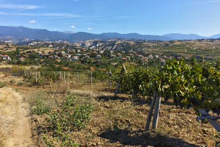 保加利亚索非亚地区 Melnik 镇附近的 Lozenitsa 村和葡萄种植园的全景视图