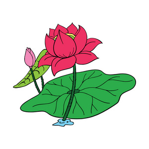 颜色莲花可爱卡通莲花在白色背景为儿童印刷品, t恤, 颜色书, 滑稽和