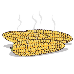 玉米煮用蒸汽分离煮熟的玉米耳插画
