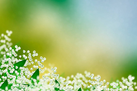 春天的风景。花百合的山谷