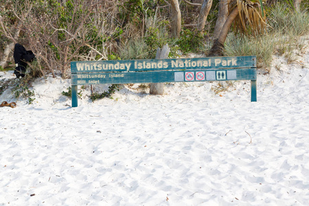 澳大利亚惠特森迪岛海滩的美景图片