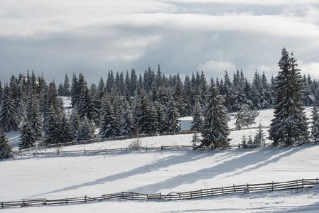 童话冬天风景与雪盖的圣诞树