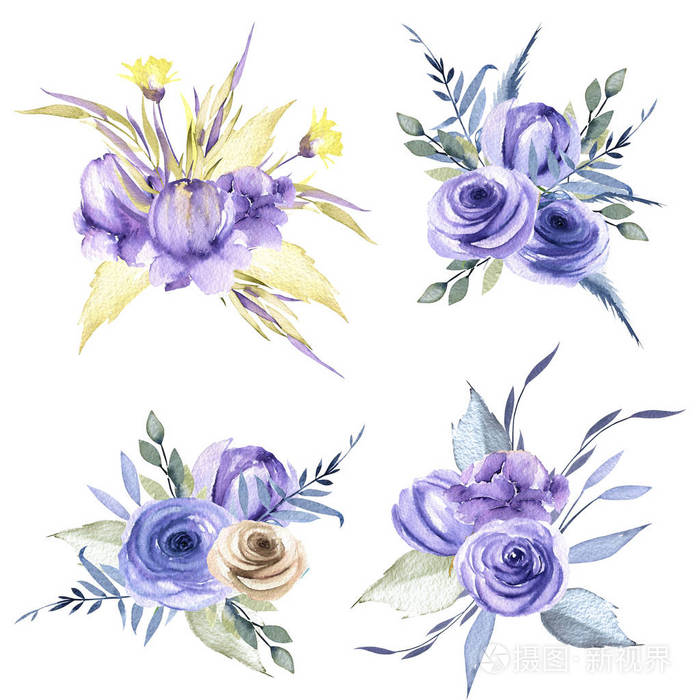 水彩蓝色玫瑰和植物花束集合, 手工画在白色背景被隔绝了