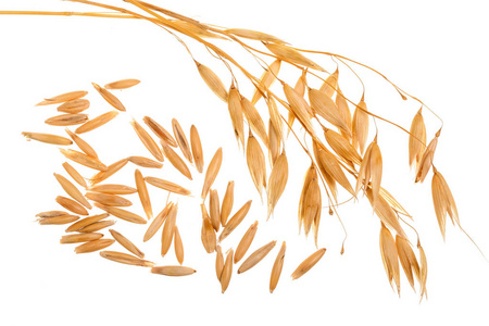 去壳的大麦图片-去壳的大麦素材-去壳的大麦插画-摄图新视界