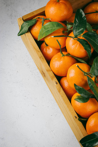 橘子橙, clementines, 柑橘果与绿叶在一个木盒上的光背景与复制空间
