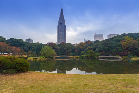 秋天在新宿公园，日本，东京