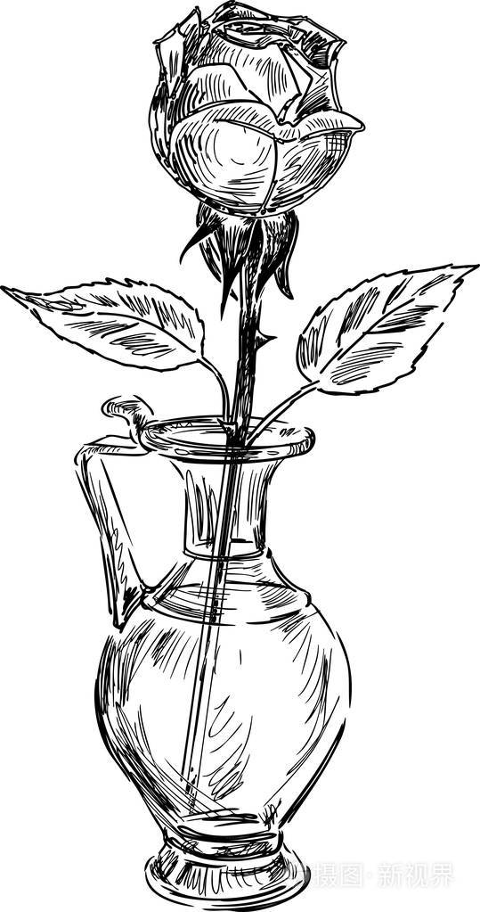 玻璃花瓶里的玫瑰素描插画 正版商用图片07q1kx 摄图新视界 玻璃花瓶里的玫瑰素描插画 正版商用图片07q1kx 摄图新视界