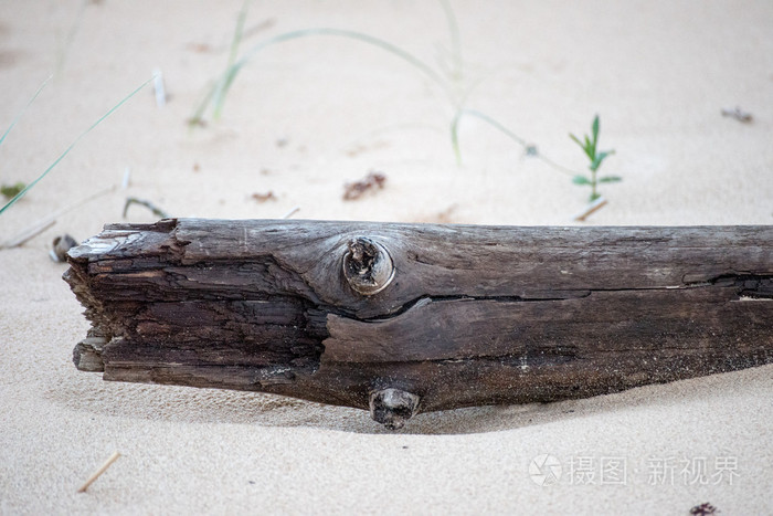 沙子上的一块木头
