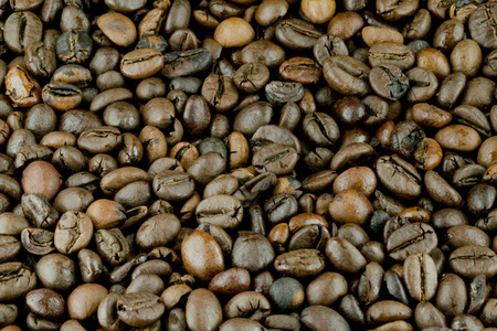 巴西咖啡生物种子