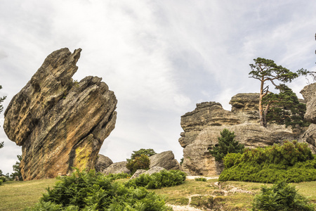 岩石在 castroviejo 德拉谢拉 索里亚 卡斯蒂利亚莱昂 西班牙