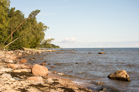 波罗地海的石滩