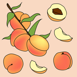 手绘插图的桃在卡通风格.完美的菜单, 卡片, 纺织品, 季节性设计照片