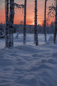 日落与雪, 冬天在瑞典拉普兰