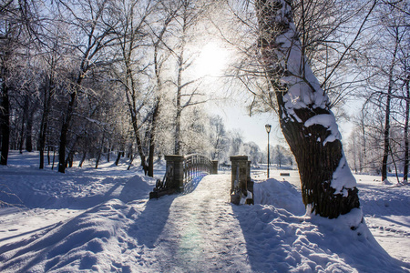 在公园的早晨冬天寒冷的风景。冬季景观。严寒, 白雪皑皑的树木, 晴朗的天气。美丽的冬季季节性背景