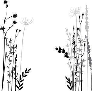 silhouettes 的花和草