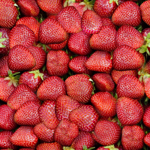 草莓无缝纹理平铺