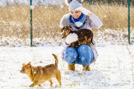 年轻的女人在冬天玩得开心。在下雪的时候, 女人和她的两只小 purebreed 狗玩耍
