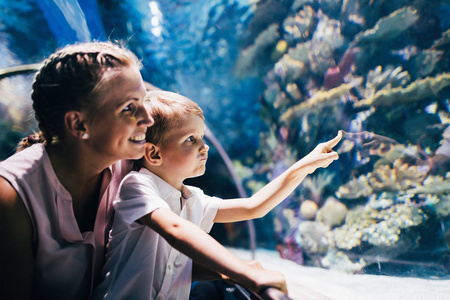 着迷的母亲和儿子看水族馆海洋生物