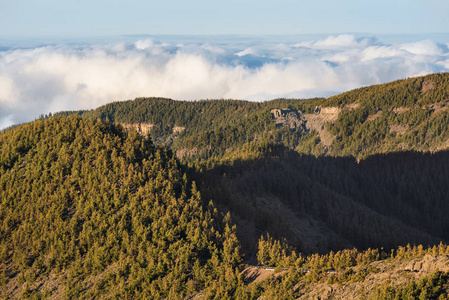 西班牙加那利群岛 Teide 国家公园景观中的云海