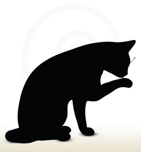 嗯啊哈律动坐在猫剪影照片