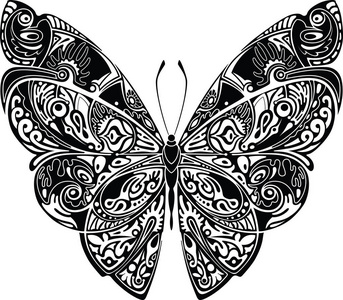 黑色和白色蝴蝶图片-黑色和白色蝴蝶素材-黑色和白色蝴蝶插画-摄图新