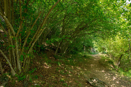 西班牙嫂子山谷中的山路